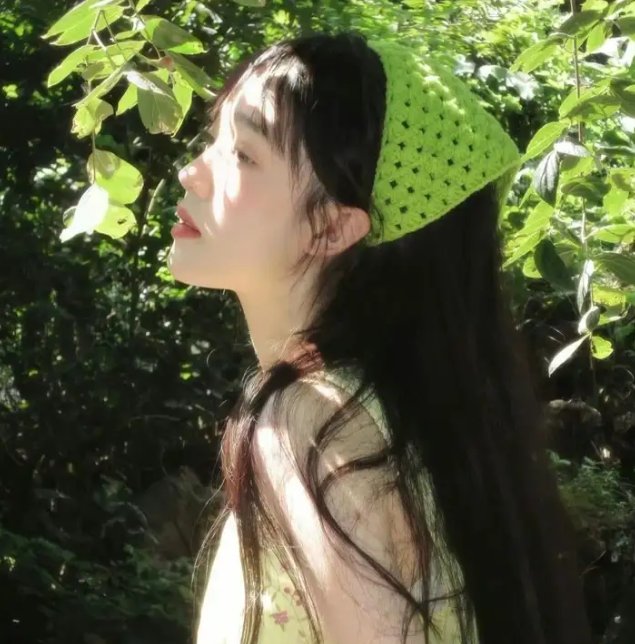 黉宫双燕